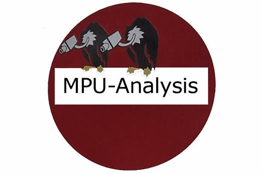 MPU-Analysis Dipl.-Psychologe Karl-Heinz Triphaus